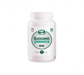 NBL Glucosamine 750mg + Chondroitin 600mg +MSM 300mg comp.film.