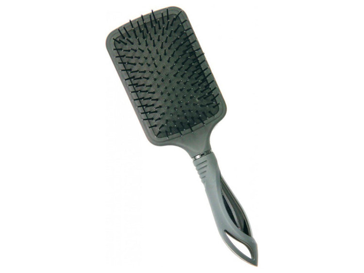 SPL Perie p/u par 55124 - poza produsului
