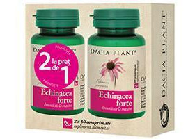 Echinacea forte comp. 1+1