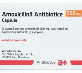 Amoxicillin 500mg caps.
