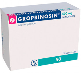 Groprinosin 500mg comp.