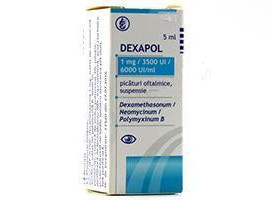 Dexapol pic.oft., susp. 5ml